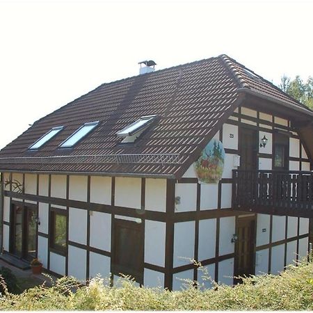 Apartment Edersee Fuer 4 Personen Frankenau Exteriér fotografie